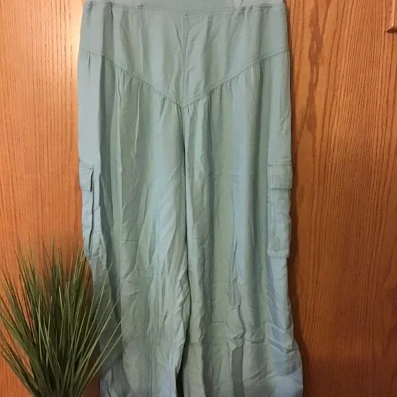 NWT Free People Final Stretch pants size- LARGE - Picture 5 of 6